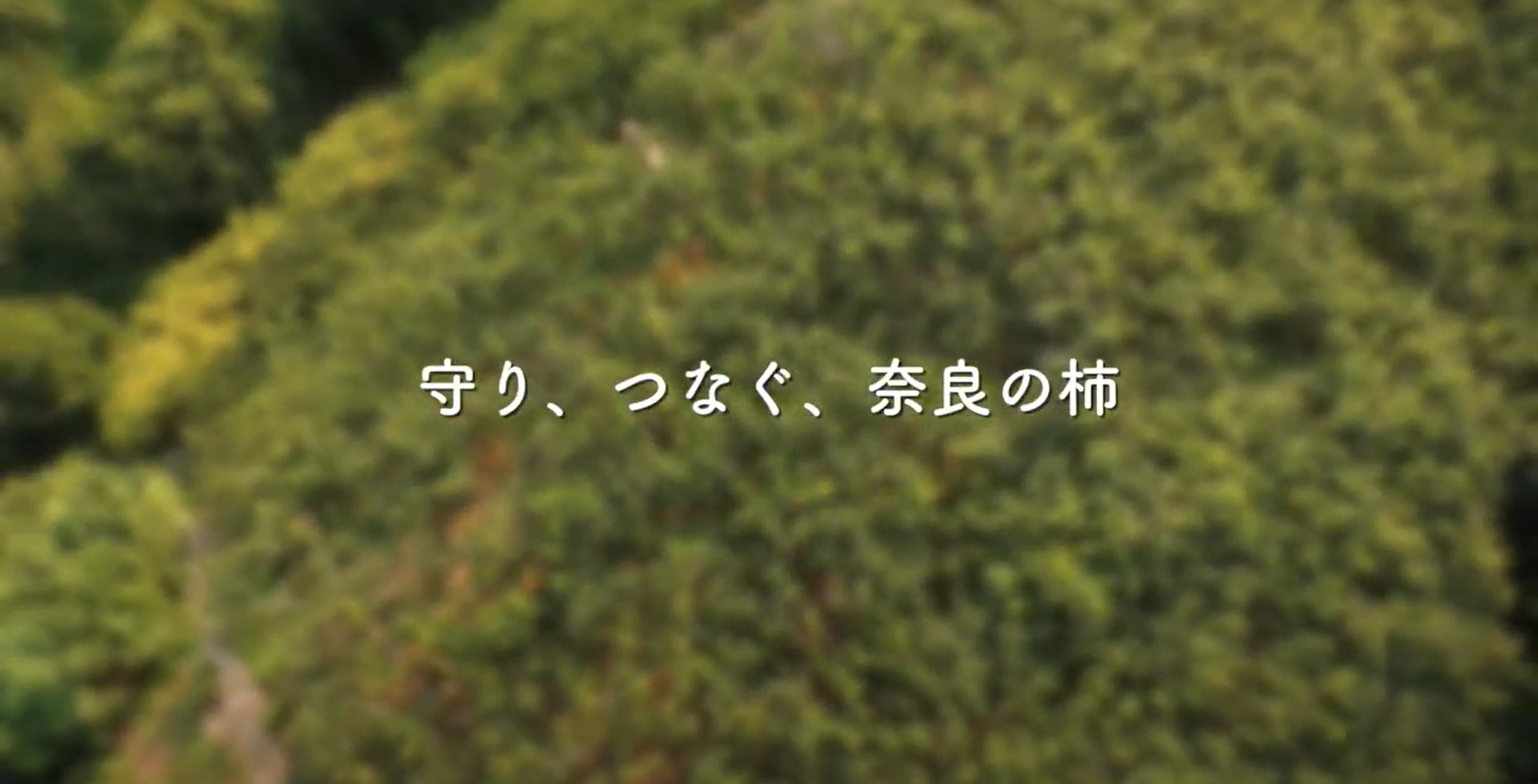 「守り、つなぐ、奈良の柿」動画制作