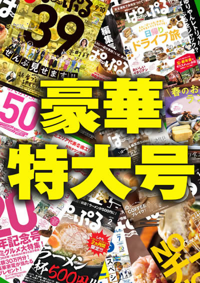 最終号3･4月号 / 2019年2月25日発行